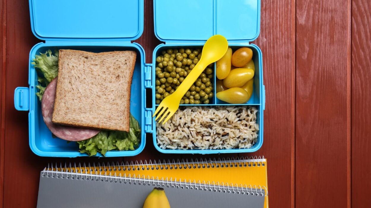healthy lunch packed in bento box
