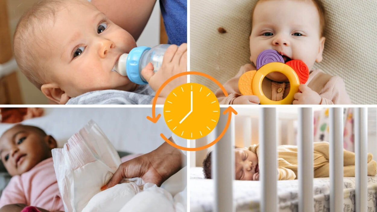 A baby's daily routine