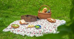 outdoor-picnic-with-family