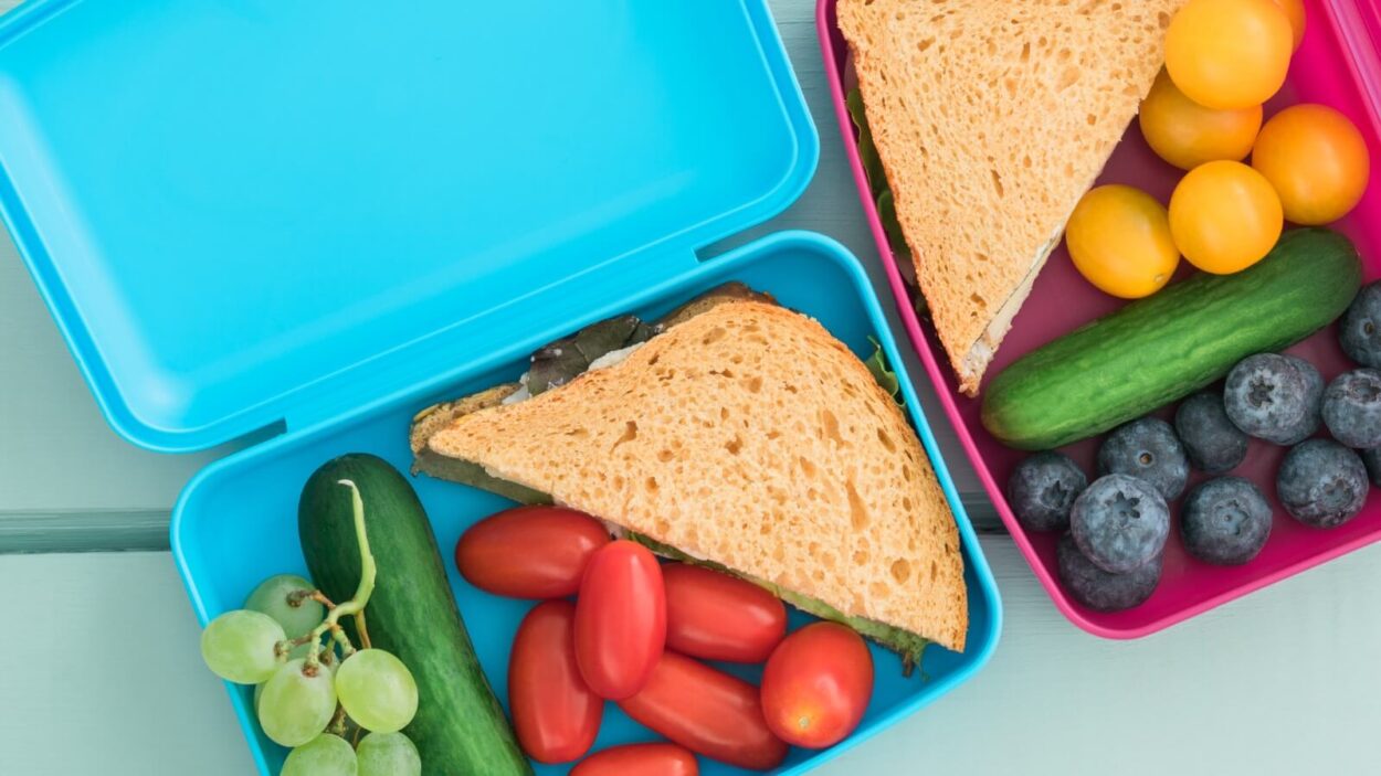 healthy packed school lunch