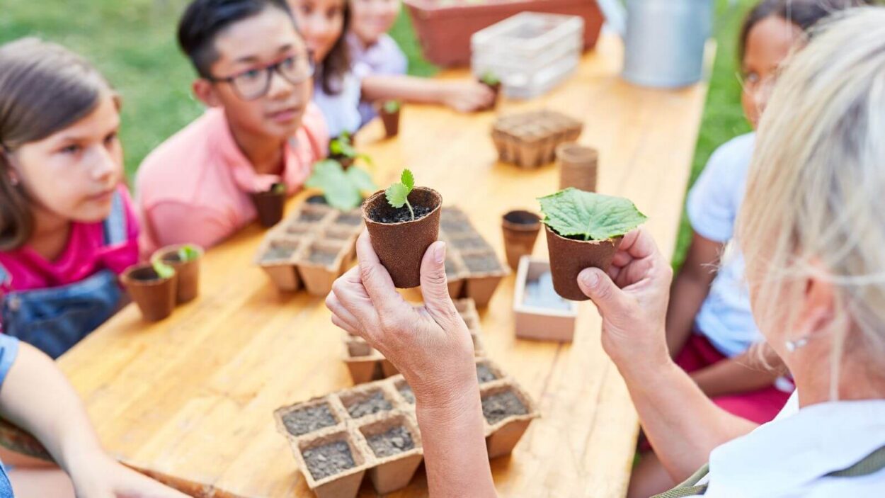 Children at summer camp looking at plants