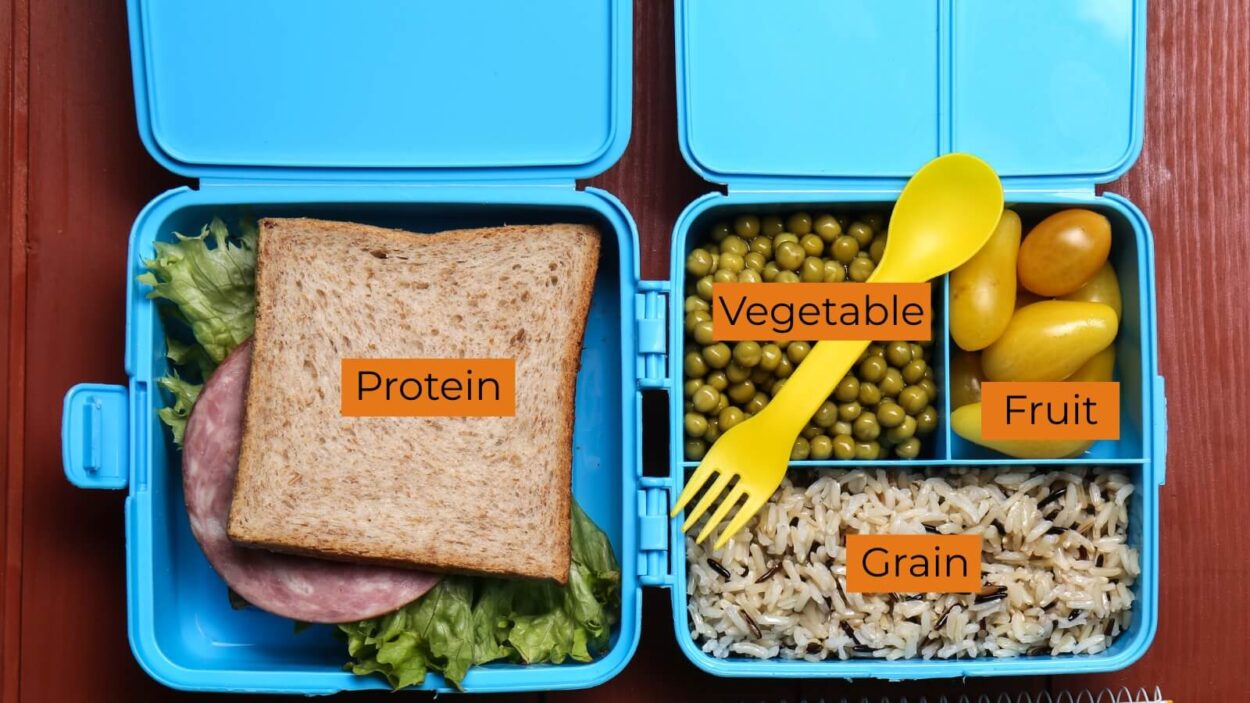 A lunchbox showing the appropriate foods for a child to bring to daycare