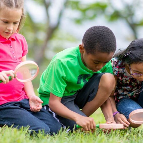 Children looking at grass with a magnifying glass